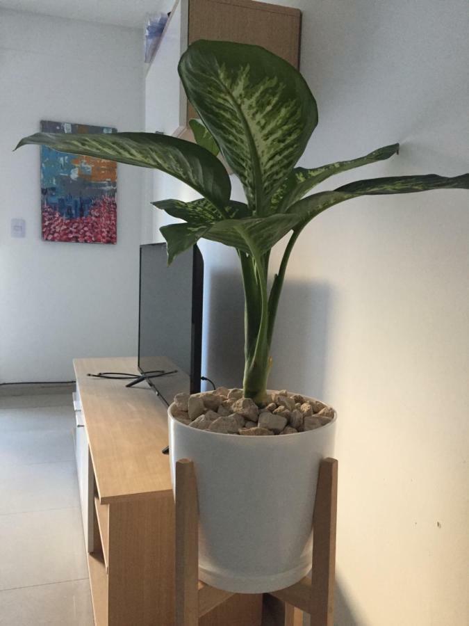 Trendy Full Apartment In Recoleta Buenos Aires Bagian luar foto